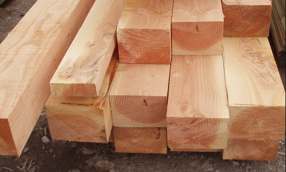 overkapping van douglas hout